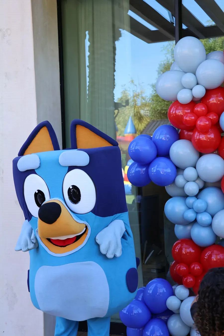 Bluey character posing beside a red and blue balloon wall at a party, photographed by Lihi Matzri